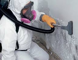 Best Water Damage & Mold Remediation  in Boynton Beach, FL